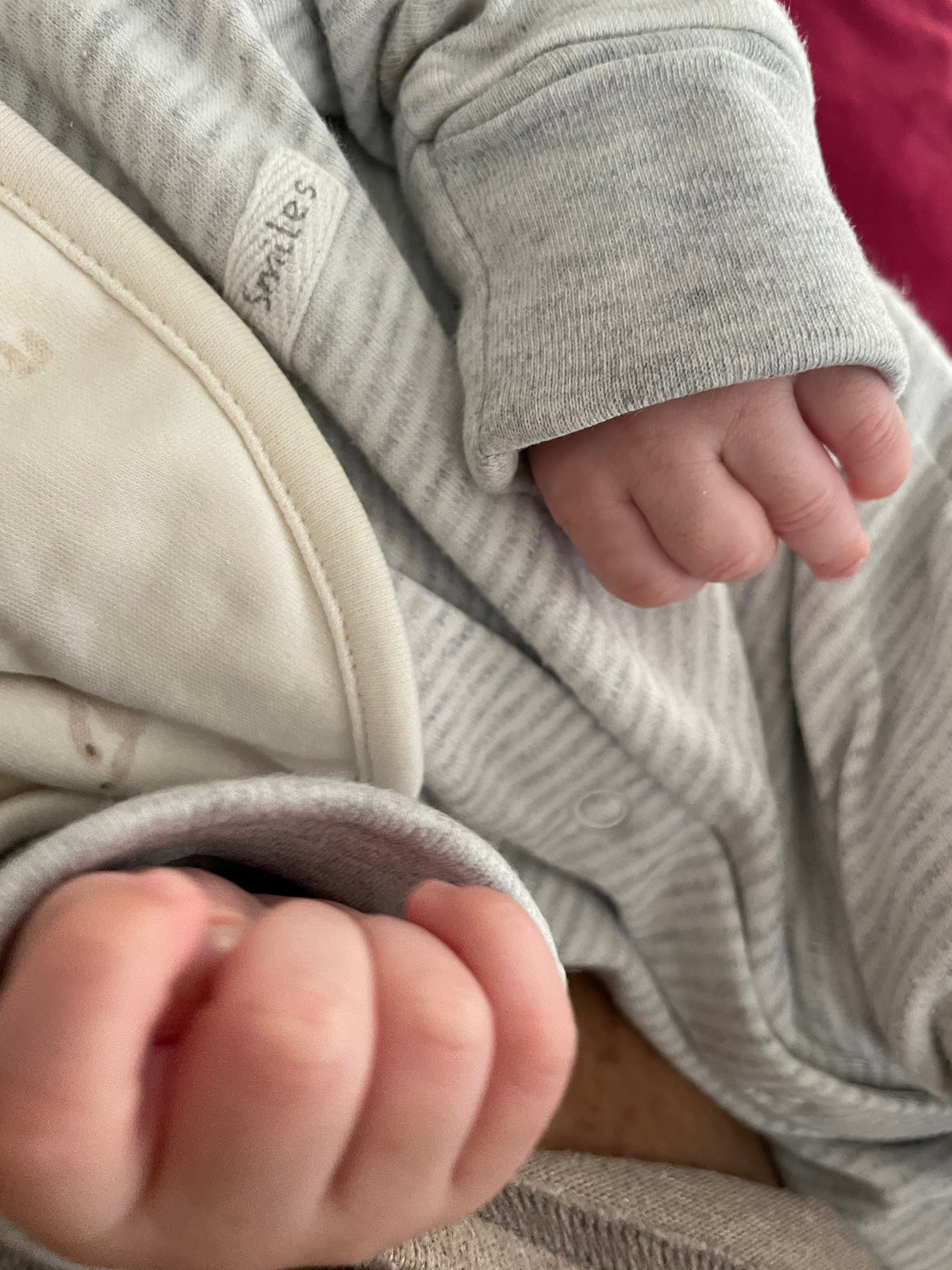 Meal Gifts for a New Mum: Better Than Flowers