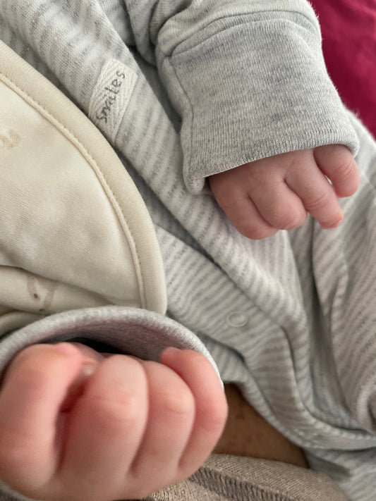 Meal Gifts for a New Mum: Better Than Flowers